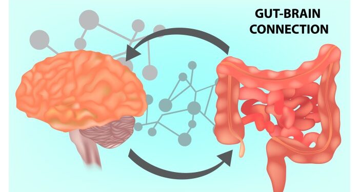 What Is The Gut-Brain Connection? - Life First