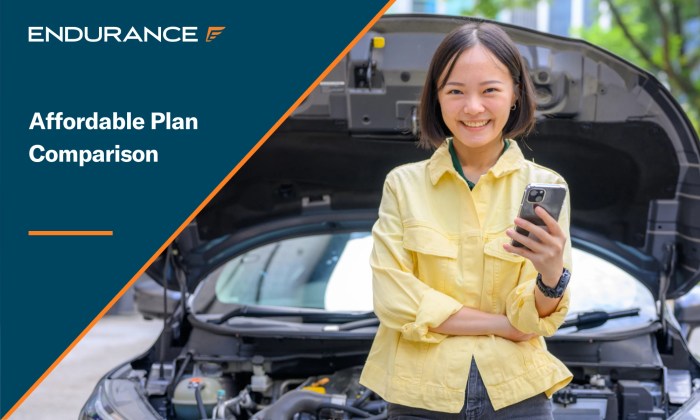 Carshield Vs Endurance: The Ultimate Battle of Auto Protection